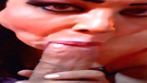 Hot tropical of a sexy girl's garba