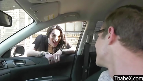 Tgirl Hitchhiker Ariel Bangs Stranger - Ariel Demure