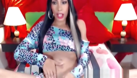 Webcam amateur shemale plays with a cock on the camera
